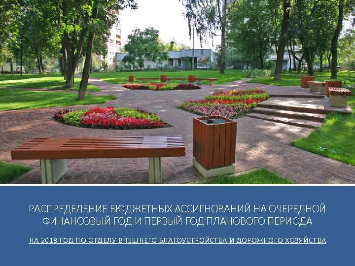 РАСПРЕДЕЛЕНИЕ БЮДЖЕТНЫХ АССИГНОВАНИЙ НА ОЧЕРЕДНОЙ ФИНАНСОВЫЙ ГОД И ПЕРВЫЙ ГОД ПЛАНОВОГО ПЕРИОДА НА 2018