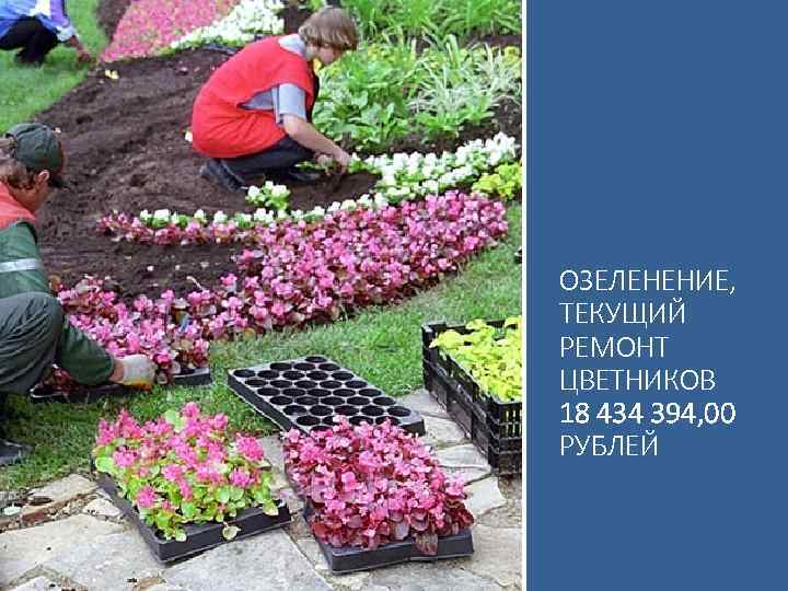ОЗЕЛЕНЕНИЕ, ТЕКУЩИЙ РЕМОНТ ЦВЕТНИКОВ 18 434 394, 00 РУБЛЕЙ 