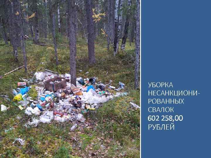 УБОРКА НЕСАНКЦИОНИРОВАННЫХ СВАЛОК 602 258, 00 РУБЛЕЙ 