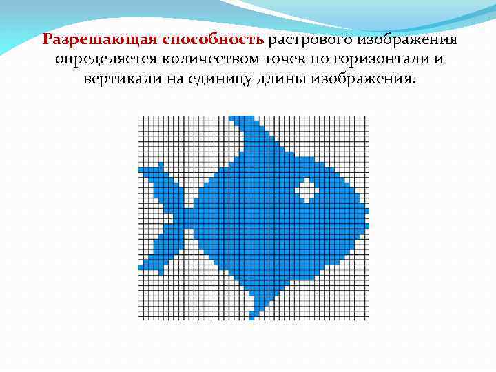 Растровое изображение размером 192 на 960