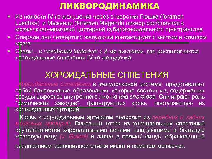 ЛИКВОРОДИНАМИКА § Из полости IV-го желудочка через отверстия Люшка (foramen Luschka) и Маженди (foramen