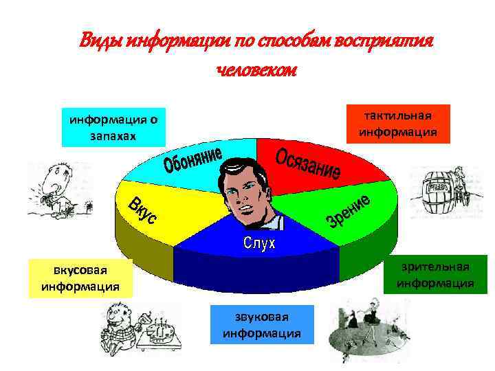 Виды информации по способам восприятия человеком тактильная информация о запахах зрительная информация вкусовая информация