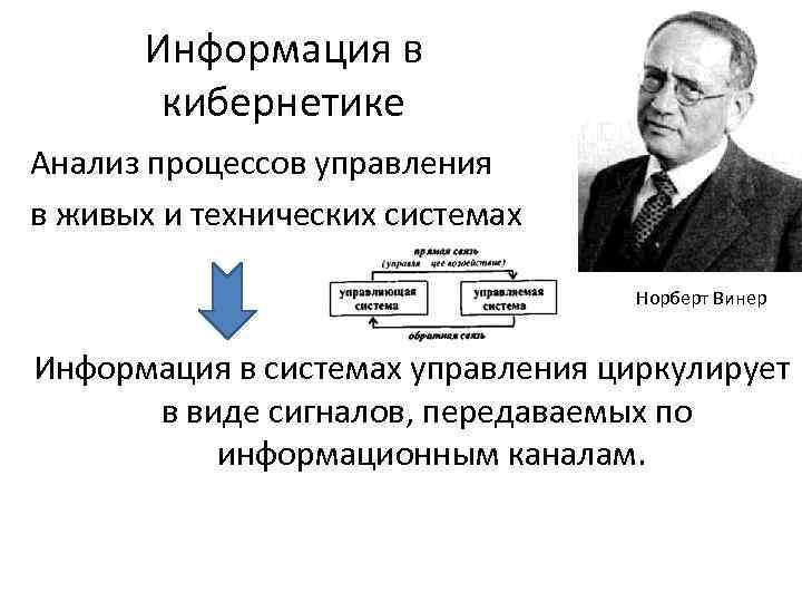 Система винера. Информация в кибернетике. Понятие информации в кибернетике. Управление и кибернетика. Кибернетика теория информации.