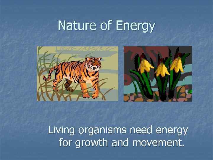 Nature of Energy Living organisms need energy for growth and movement. 