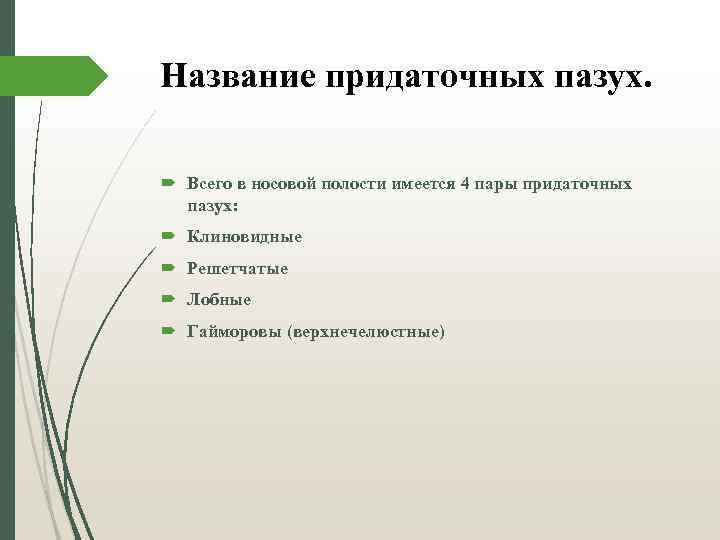 Название придаточных пазух. Всего в носовой полости имеется 4 пары придаточных пазух: Клиновидные Решетчатые