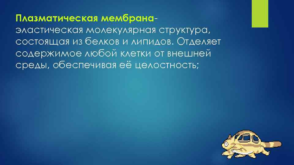 Плазматическая мембранаэластическая молекулярная структура, состоящая из белков и липидов. Отделяет содержимое любой клетки от