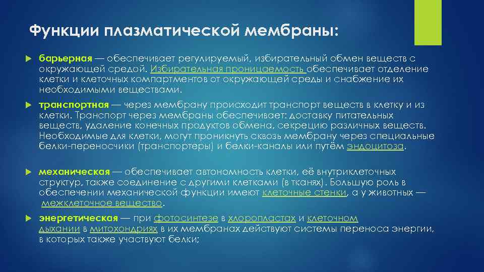 Функции плазматической мембраны: барьерная — обеспечивает регулируемый, избирательный обмен веществ с окружающей средой. Избирательная