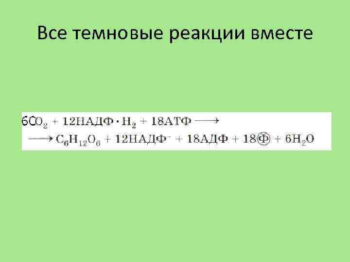 Все темновые реакции вместе 