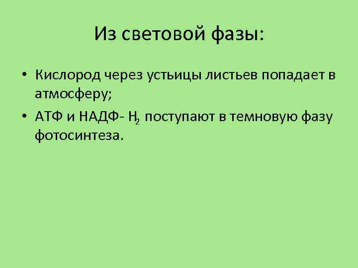 Из световой фазы: • Кислород через устьицы листьев попадает в атмосферу; • АТФ и