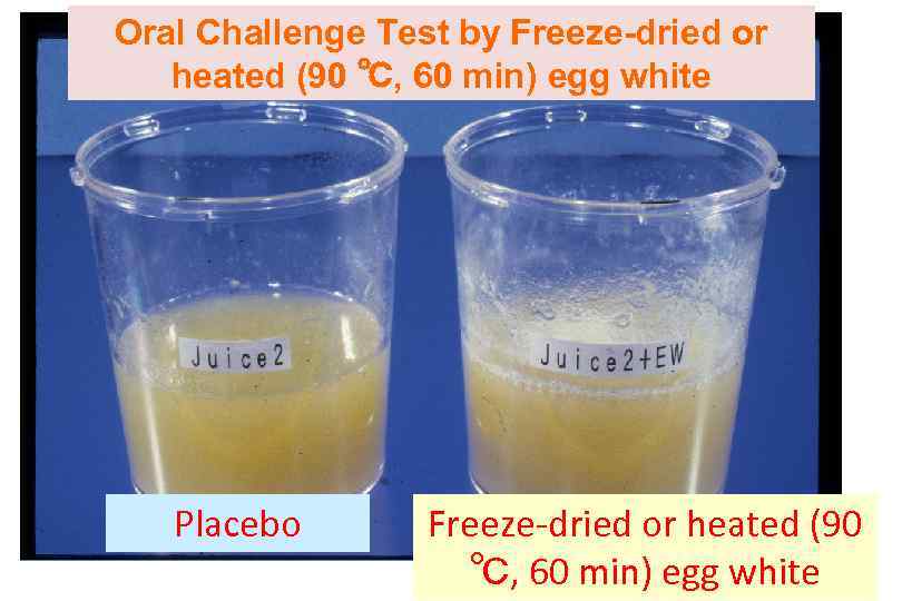 Oral Challenge Test by Freeze-dried or heated (90 ℃, 60 min) egg white Placebo