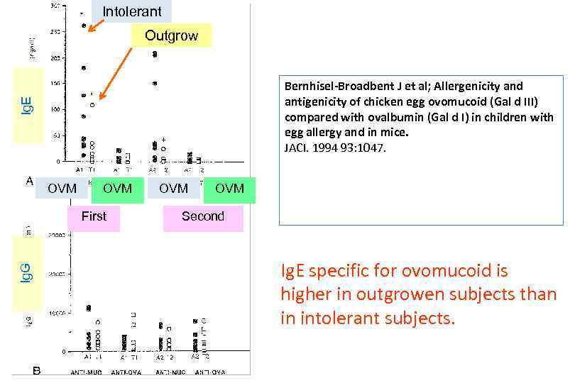 Intolerant Outgrow Ig. E Bernhisel-Broadbent J et al; Allergenicity and antigenicity of chicken egg