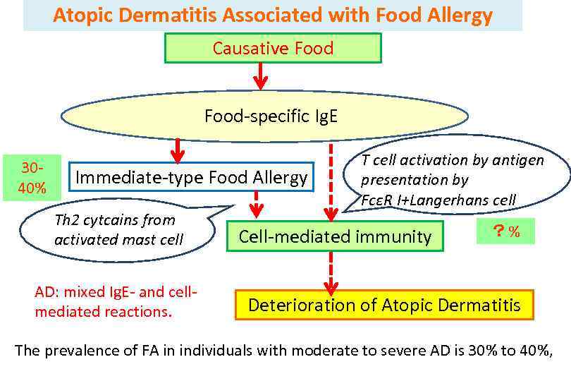 Atopic Dermatitis Associated with Food Allergy Causative Food-specific Ig. E 3040% Immediate-type Food Allergy