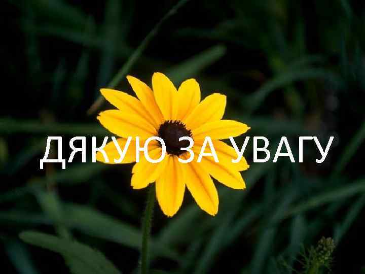 ДЯКУЮ ЗА УВАГУ 