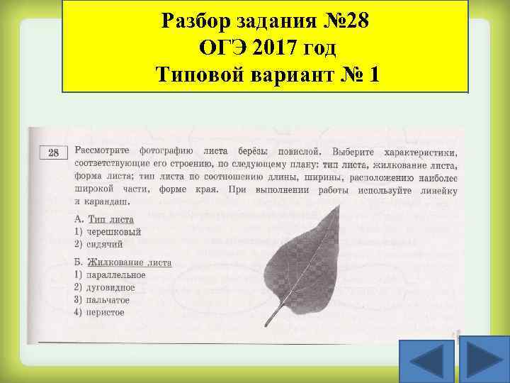 Разбор задания № 28 ОГЭ 2017 год Типовой вариант № 1 