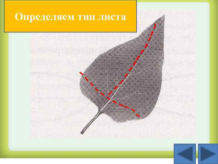 Определяем тип листа 