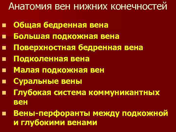 Анатомия вен нижних конечностей n n n n Общая бедренная вена Большая подкожная вена
