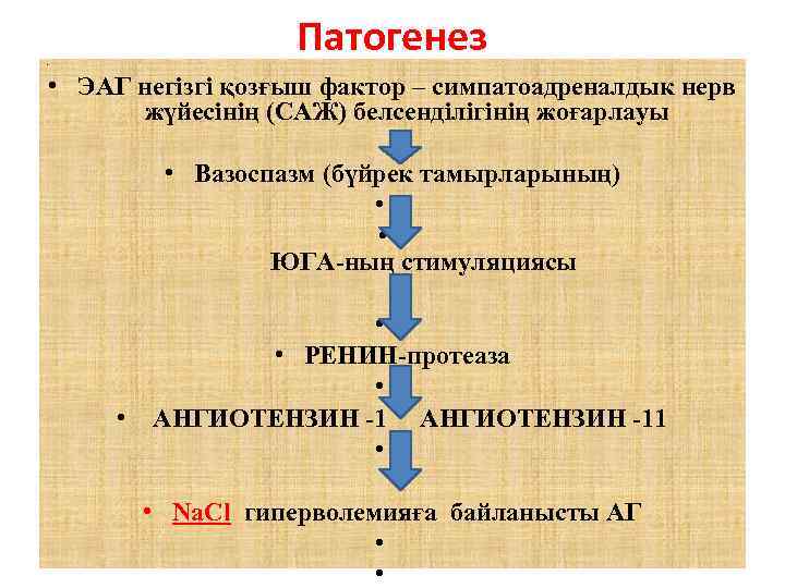  • Патогенез • ЭАГ негізгі қозғыш фактор – симпатоадреналдык нерв жүйесінің (САЖ) белсенділігінің