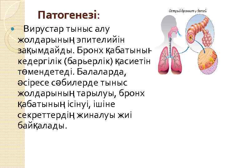 Патогенезі: Вирустар тыныс алу жолдарының эпителийін зақымдайды. Бронх қабатының кедергілік (барьерлік) қасиетін төмендетеді. Балаларда,