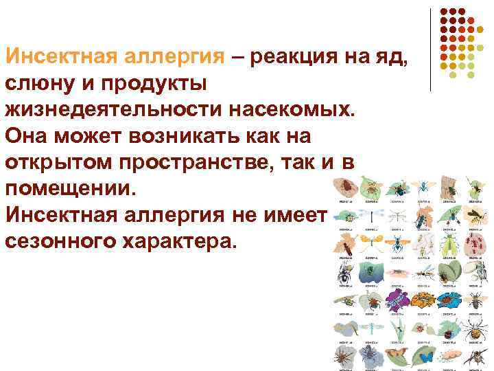 Инсектная аллергия – реакция на яд, слюну и продукты жизнедеятельности насекомых. Она может возникать