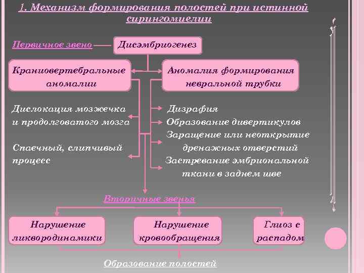 1. Механизм формирования полостей при истинной сирингомиелии Первичное звено Дисэмбриогенез Краниовертебральные аномалии Аномалия формирования