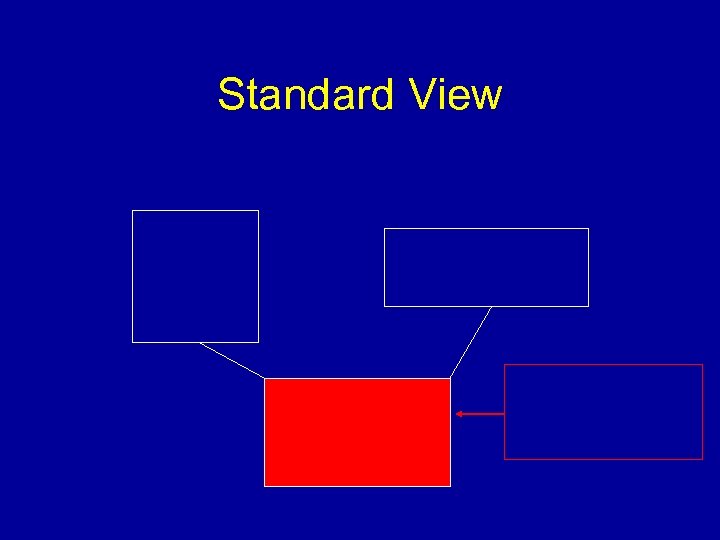 Standard View 