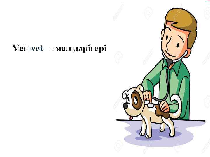 Vet |vet| - мал дәрігері 