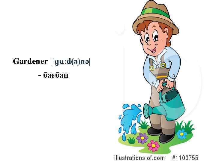 Gardener |ˈɡɑːd(ә)nә| - бағбан 