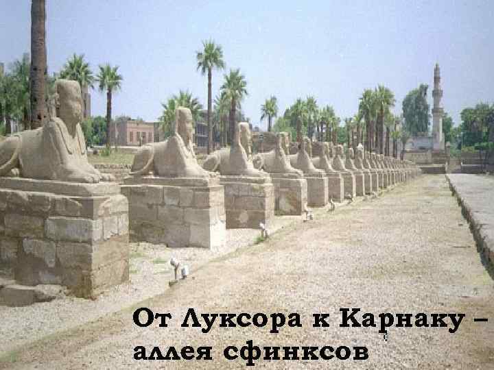 От Луксора к Карнаку – аллея сфинксов 
