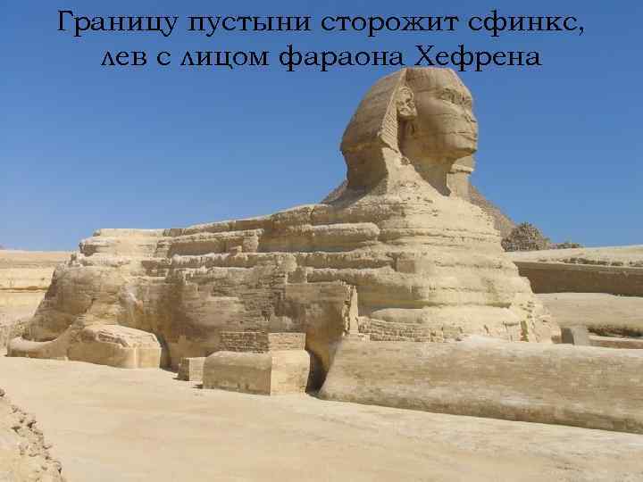Границу пустыни сторожит сфинкс, лев с лицом фараона Хефрена 