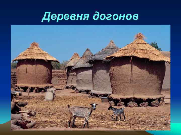 Деревня догонов 