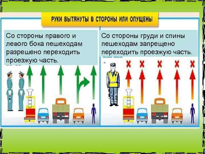 Со стороны правого и левого бока пешеходам разрешено переходить проезжую часть. Со стороны груди