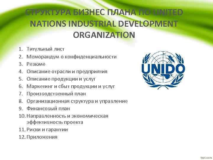 СТРУКТУРА БИЗНЕС ПЛАНА ПО UNITED NATIONS INDUSTRIAL DEVELOPMENT ORGANIZATION 1. Титульный лист 2. Меморандум