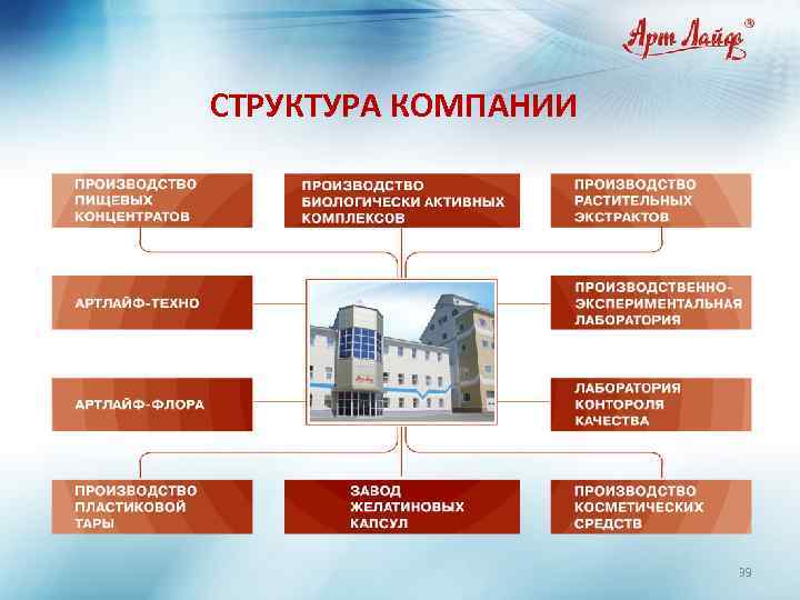 СТРУКТУРА КОМПАНИИ 39 