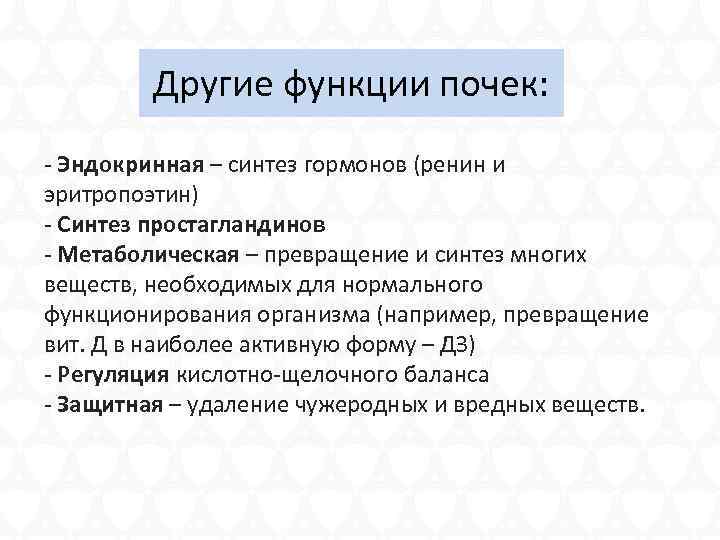 Другие функции почек: - Эндокринная – синтез гормонов (ренин и эритропоэтин) - Синтез простагландинов