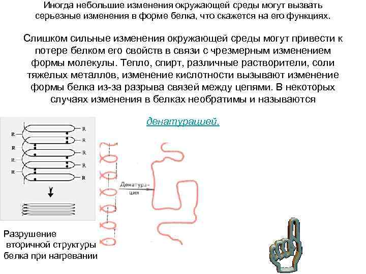 Иногда небольшие изменения окружающей среды могут вызвать серьезные изменения в форме белка, что скажется