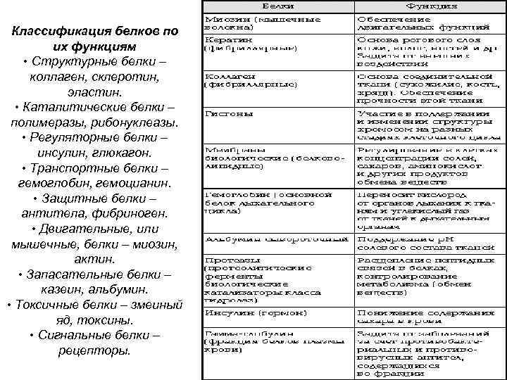 Классификация белков по их функциям • Структурные белки – коллаген, склеротин, эластин. • Каталитические