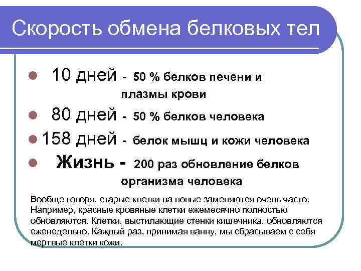 Скорость обмена белковых тел l 10 дней - 50 % белков печени и плазмы