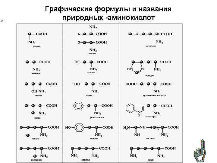 Графические формулы и названия природных -аминокислот 