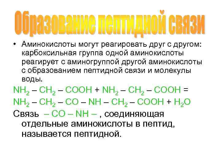  • Аминокислоты могут реагировать друг с другом: карбоксильная группа одной аминокислоты реагирует с