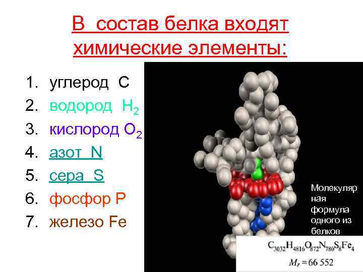 В состав белка входят химические элементы: 1. 2. 3. 4. 5. 6. 7. углерод