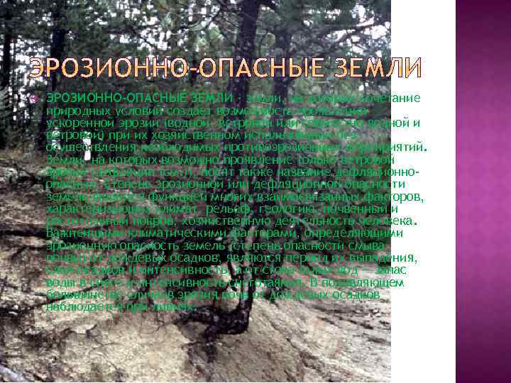  ЭРОЗИОННО-ОПАСНЫЕ ЗЕМЛИ – земли, на которых сочетание природных условий создает возможность проявления ускоренной