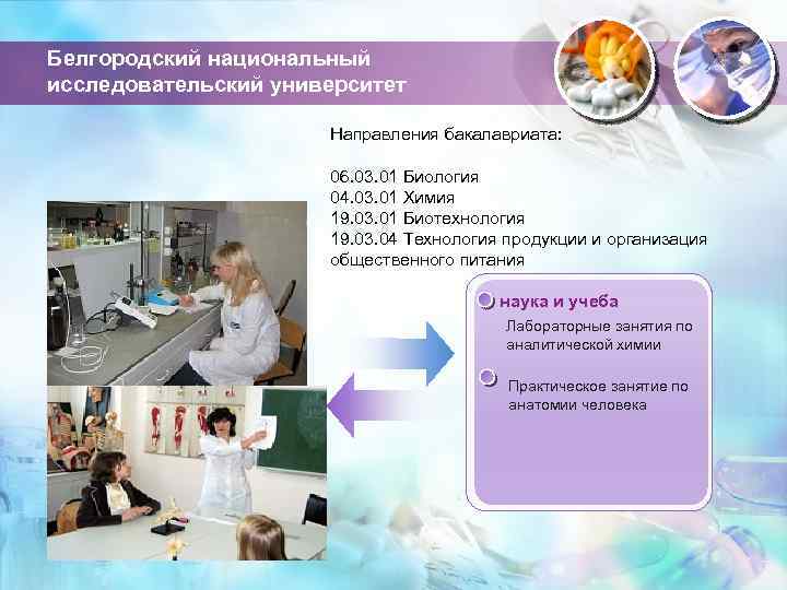 Белгородский национальный исследовательский университет Направления бакалавриата: 06. 03. 01 Биология 04. 03. 01 Химия