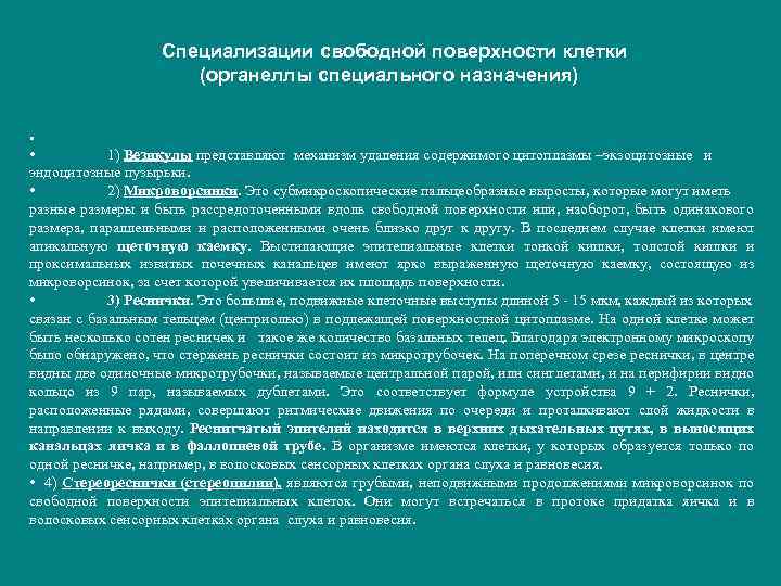 Специализации свободной поверхности клетки (органеллы специального назначения) • • 1) Везикулы представляют механизм удаления