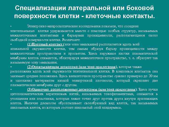 Специализации латеральной или боковой поверхности клетки - клеточные контакты. Электронно-микроскопические исследования показали, что соседние