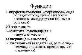 Функции 1. Морфогенетическая –формообразующая образует строму органов (капсулы, прослойки между другими тканями и органами).