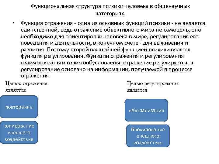 Функциональная структура психики человека в общенаучных категориях. • Функция отражения - одна из основных