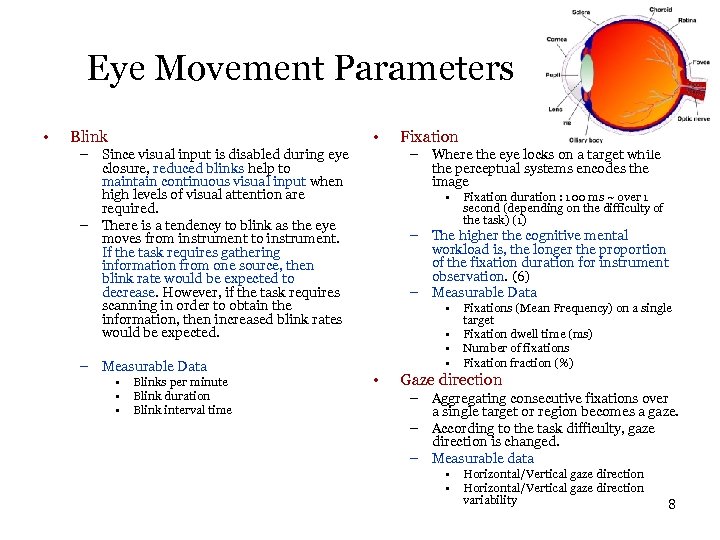 Eye Movement Parameters • • Blink – Since visual input is disabled during eye