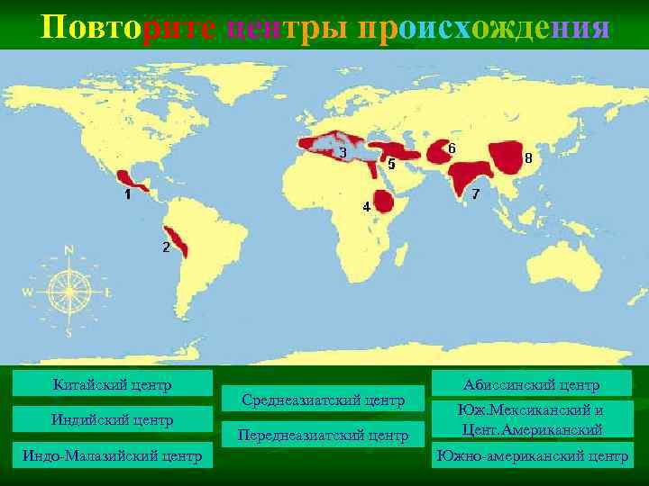 Повторите центры происхождения Китайский центр Индийский центр Индо-Малазийский центр Среднеазиатский центр Переднеазиатский центр Абиссинский