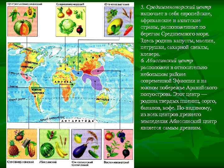 5. Средиземноморский центр включает в себя европейские, африканские и азиатские страны, расположенные по берегам