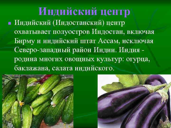 Овощная культура родина индия